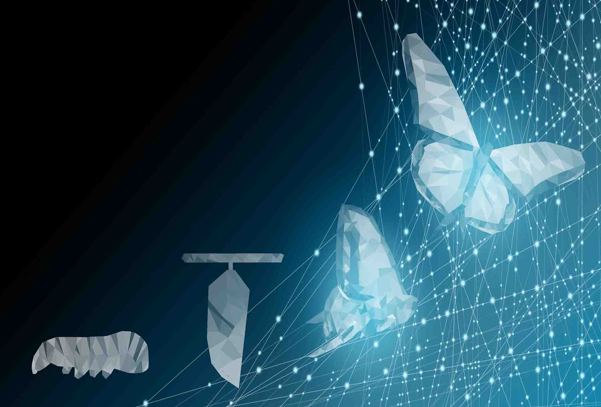 Flexible dApps development space